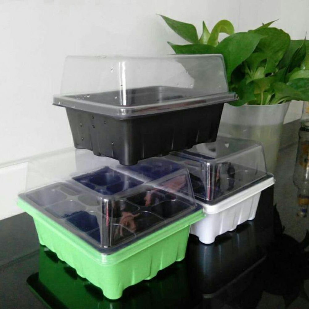 Bonsai Garden Grow Kit - طقم بدء الزراعة: صواني إنبات بـ