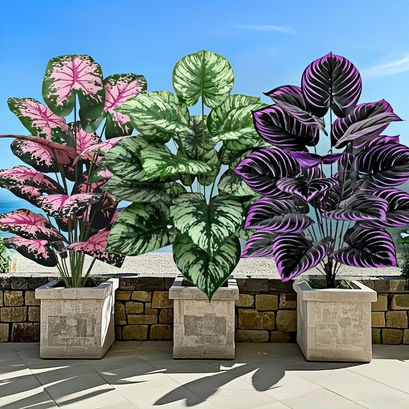 Bonsai Gardenia - 3 قطعة 60 سنتيمتر مجموعة نباتات