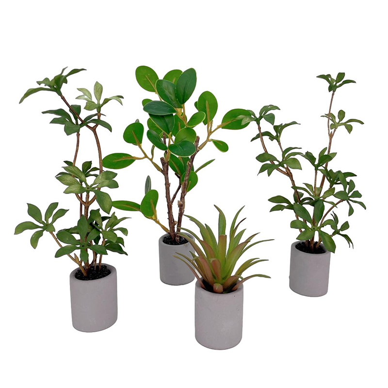 Bonsai Gardenia - 1:6 دمية مصغرة بوعاء النبات الأخضر