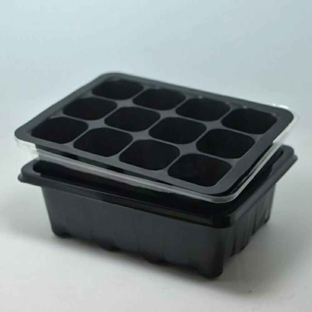 طقم بدء الزراعة: صواني إنبات ب - مراجعة Bonsai Garden Grow Kit وسعره