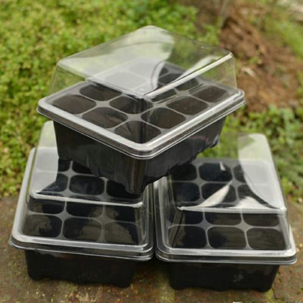 طقم بدء الزراعة: صواني إنبات ب - مراجعة Bonsai Garden Grow Kit وسعره
