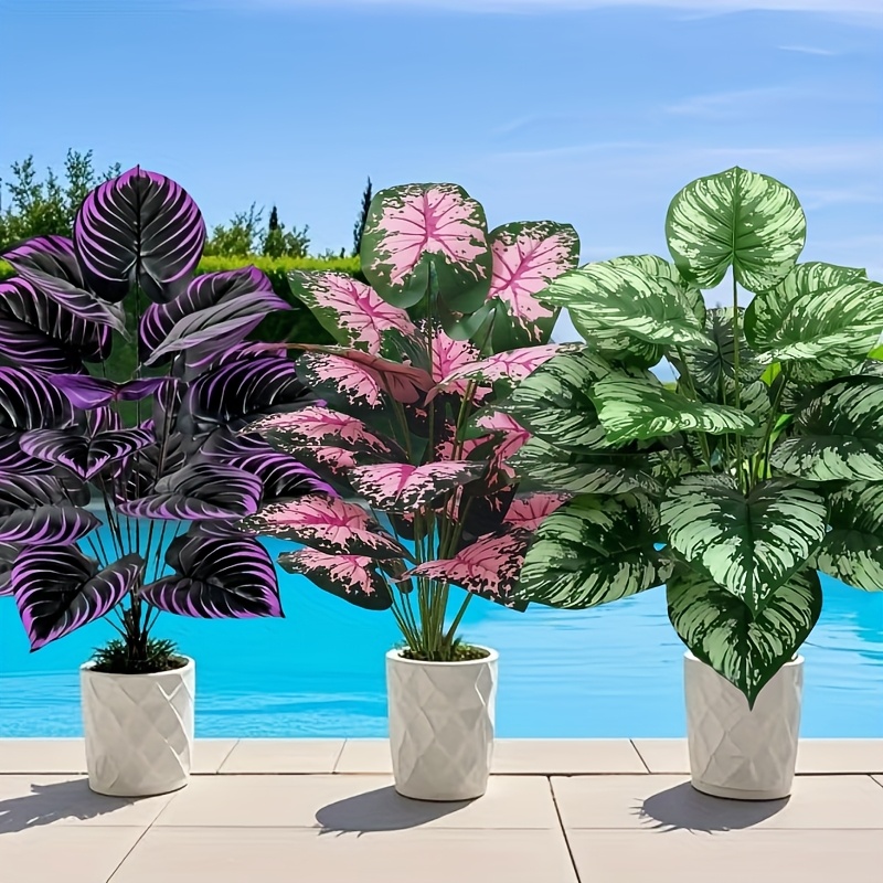 3 قطعة 60 سنتيمتر مجموعة نباتا - مراجعة Bonsai Gardenia وسعره