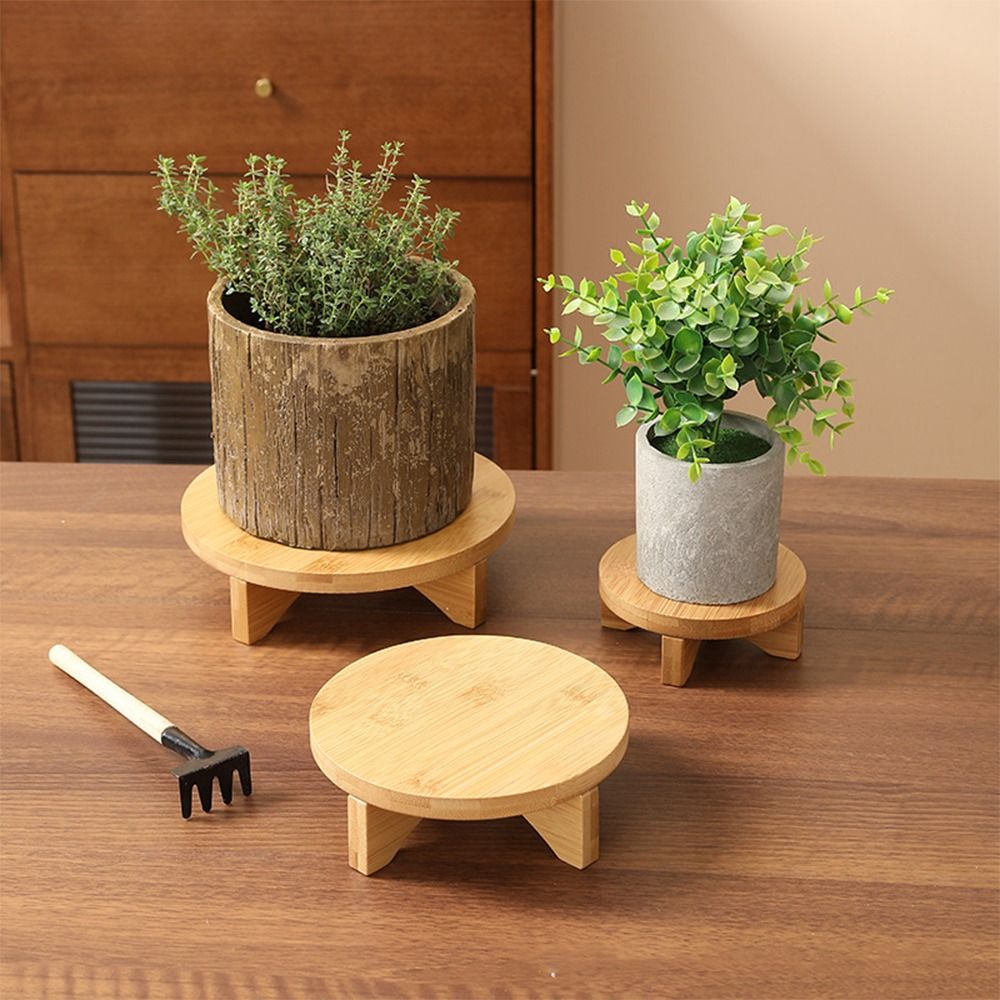 حامل عرض بونساي خشبي، لوازم ال - مراجعة Bonsai Garden Display Stands وسعره