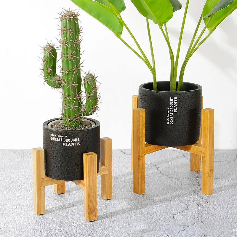 حامل أوعية الزهور النباتية رف  - مراجعة Bonsai Garden Display Stands وسعره