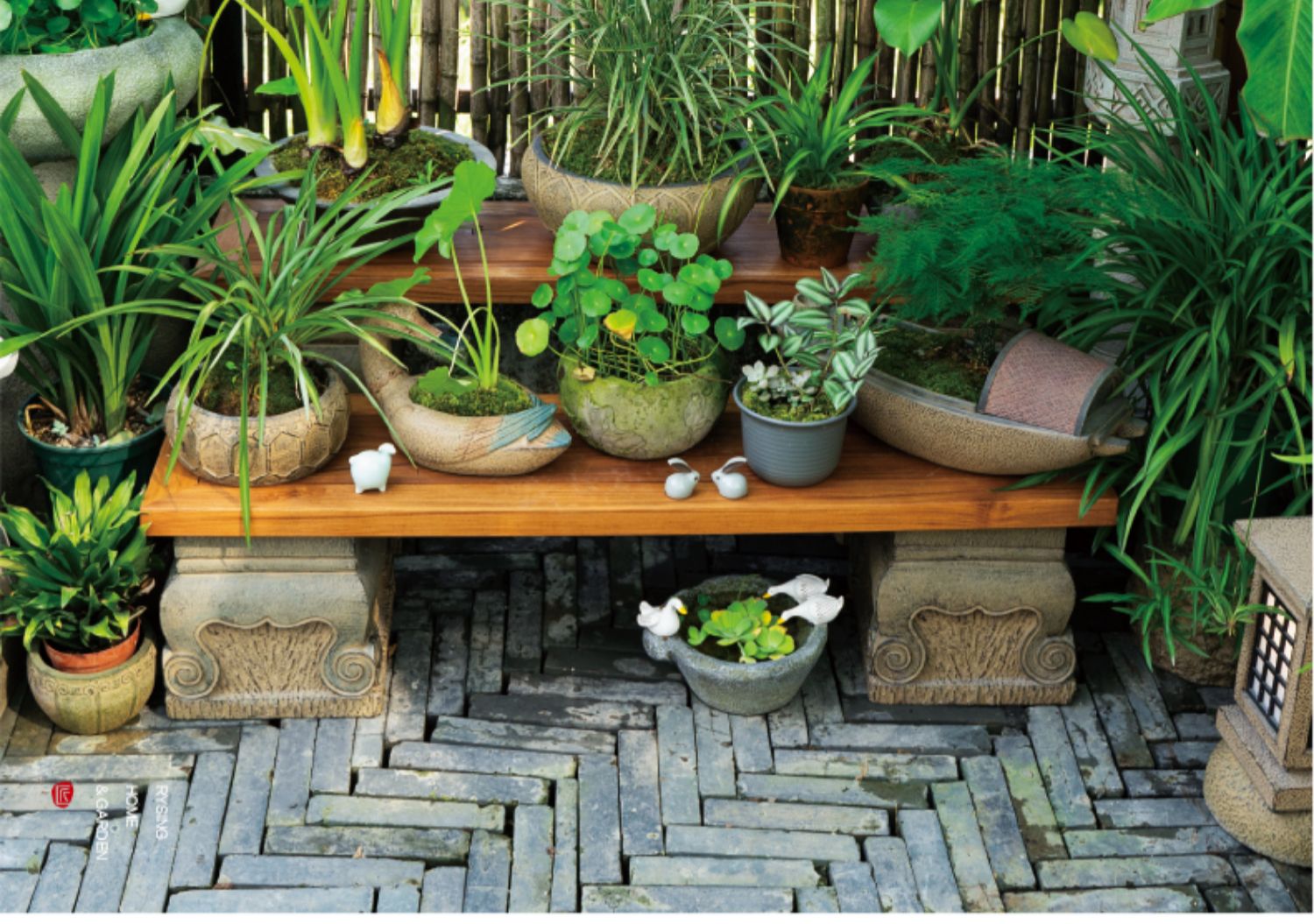 تخطيط حديقة الشرفة، رف الزهور  - مراجعة Bonsai Garden Layout وسعره