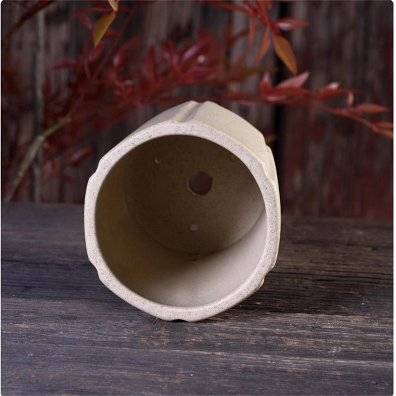 وعاء بونساي مصنوع يدويًا من ال - مراجعة Bonsai Gardenia وسعره