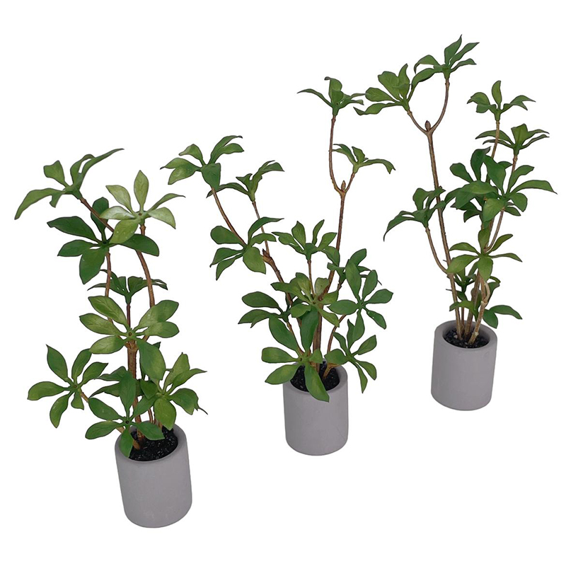 1:6 دمية مصغرة بوعاء النبات ال - مراجعة Bonsai Gardenia وسعره