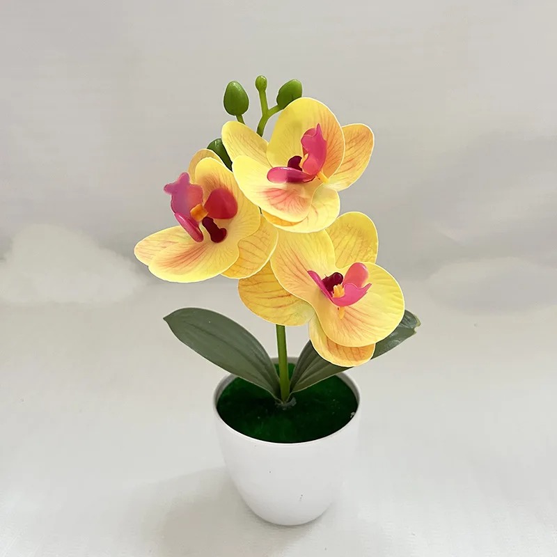 1 قطعة 20 سنتيمتر نباتات محاكا - مراجعة Bonsai Gardenia وسعره