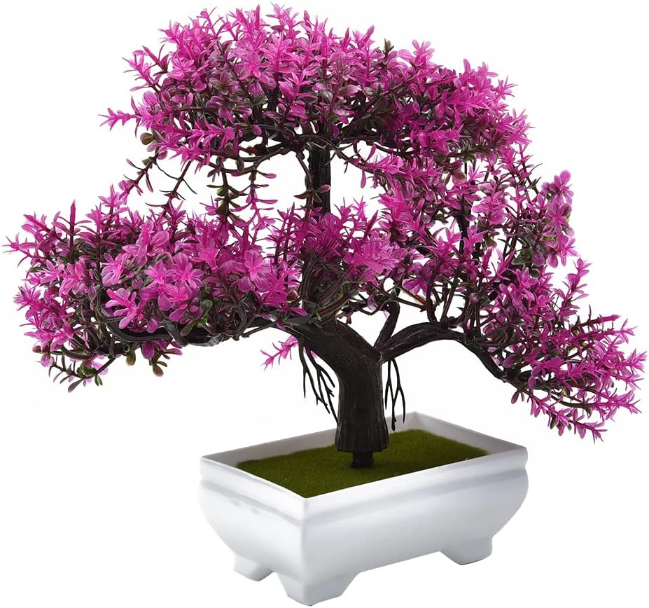 نباتات اصطناعية بونساي نبات صن - مراجعة Bonsai Gardenia وسعره